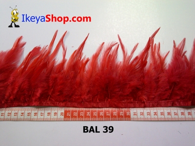 bulu ayam lancip BAL 39   feather  large2